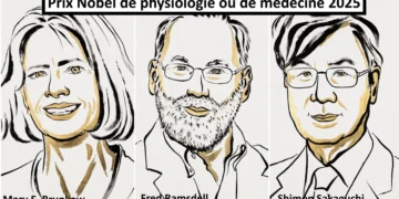 Prix Nobel de médecine 2025 : trois chercheurs honorés pour avoir percé les mystères de l'immunotolérance périphérique