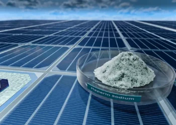 Un polymère naturel stimule les cellules solaires