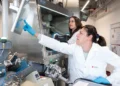 Quand l'hydrogène rencontre l'acier