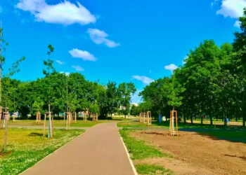 Les citadins sont-ils prêts à réduire la place de la voiture pour végétaliser la ville ?