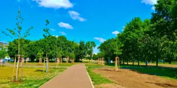 Les citadins sont-ils prêts à réduire la place de la voiture pour végétaliser la ville ?