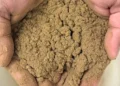 Des ingénieurs mettent au point un lubrifiant solide pour remplacer les substances toxiques dans l'agriculture