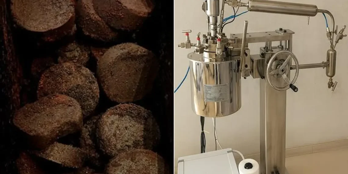 Des chercheurs transforment le café et les déchets plastiques en solution pour le climat