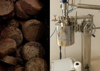 Des chercheurs transforment le café et les déchets plastiques en solution pour le climat