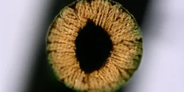 Une méthode d'impression 3D pour des matériaux ultrarésistants