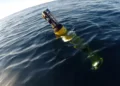 Les vagues de chaleur marine ont des effets cachés sur les réseaux alimentaires océaniques et le cycle du carbone