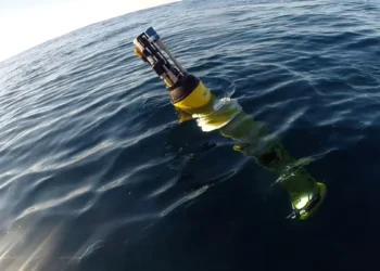 Les vagues de chaleur marine ont des effets cachés sur les réseaux alimentaires océaniques et le cycle du carbone