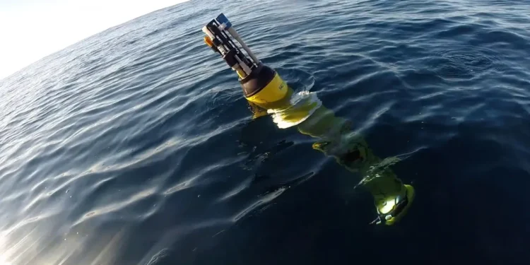 Les vagues de chaleur marine ont des effets cachés sur les réseaux alimentaires océaniques et le cycle du carbone