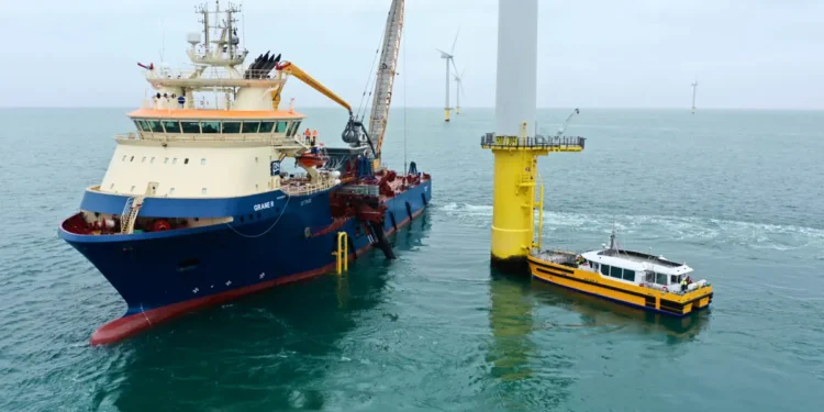 RWE teste un nouveau bouclier marin pour allier énergie éolienne et biodiversité