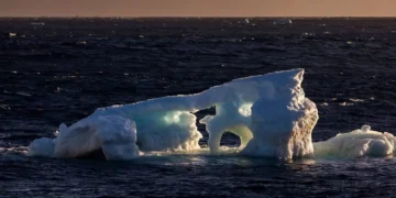 L’océan Austral garde encore le CO2 sous clé grâce à son eau plus douce, pour combien de temps encore ?