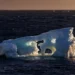 L’océan Austral garde encore le CO2 sous clé grâce à son eau plus douce, pour combien de temps encore ?