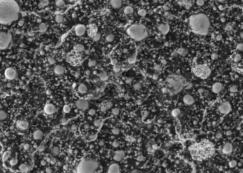 Un nouveau matériau composite à « métal liquide » ouvre la voie à l'électronique recyclable, flexible et reconfigurable