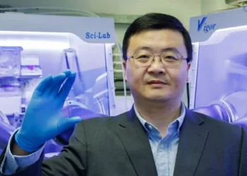 Une technologie solaire transparente optimise les façades énergétiques des bâtiments