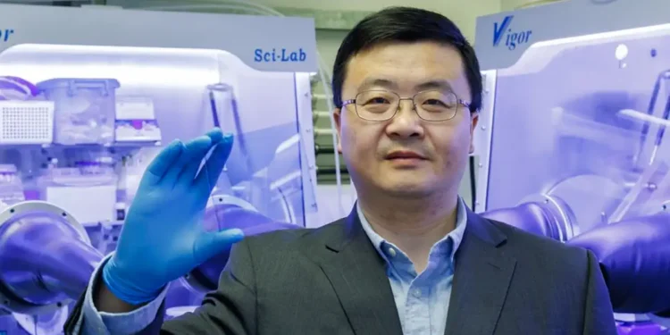 Une technologie solaire transparente optimise les façades énergétiques des bâtiments