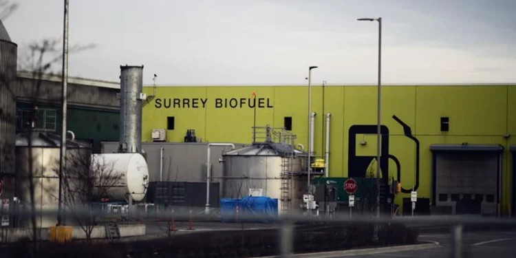 Des chercheurs découvrent des microbes transformant les déchets alimentaires en énergie