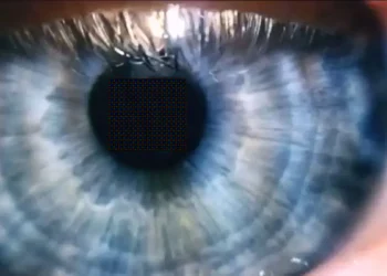 Des pixels plus petits que jamais, proches de la limite visuelle humaine