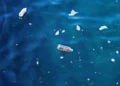 La pollution plastique pourrait persister sur les surfaces océaniques pendant plus d'un siècle