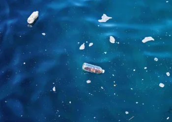 La pollution plastique pourrait persister sur les surfaces océaniques pendant plus d'un siècle