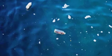 La pollution plastique pourrait persister sur les surfaces océaniques pendant plus d'un siècle