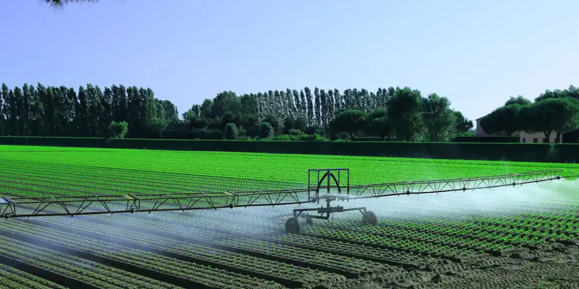 Deux façons de réduire la consommation d'eau utilisée pour préparer vos aliments