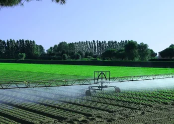 Deux façons de réduire la consommation d'eau utilisée pour préparer vos aliments