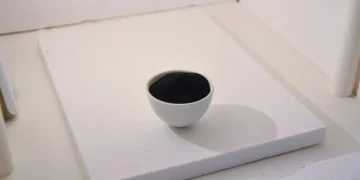 Des batteries durables fabriquées à partir de sous-produits de l'industrie du bois