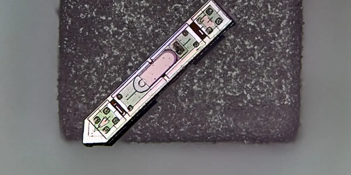 Un implant neuronal plus petit qu'un grain de sel suit sans fil l'activité cérébrale