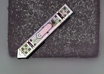 Un implant neuronal plus petit qu'un grain de sel suit sans fil l'activité cérébrale