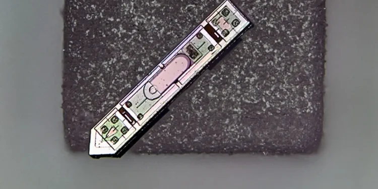 Un implant neuronal plus petit qu'un grain de sel suit sans fil l'activité cérébrale