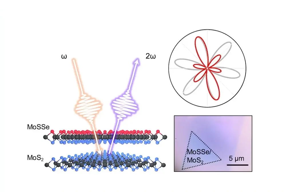 Une équipe de chercheurs de l'université Rice et leurs collaborateurs ont démontré qu'un matériau Janus TMD à deux couches (séléniure de molybdène et soufre empilé sur du disulfure de molybdène, en bas à droite : image optique d'un échantillon) convertit la lumière grâce à un processus appelé génération de seconde harmonique (SHG), dans lequel le matériau émet de la lumière à une fréquence deux fois supérieure à celle du faisceau entrant (à gauche). Habituellement, le signal SHG forme une « fleur » à six branches, mais certaines longueurs d'onde de la lumière déforment le motif en raison de l'optostriction (en haut à droite : motif « fleur » symétrique en gris et motif SHG asymétrique en rouge). 