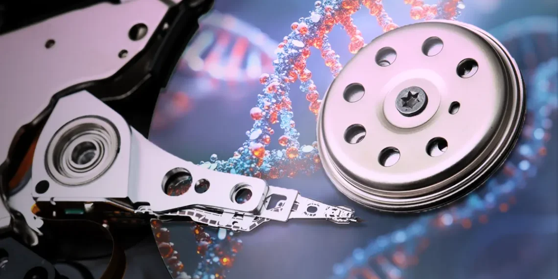 Des chercheurs découvrent un système de stockage électronique basé sur l'ADN