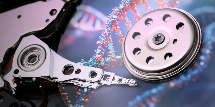 Des chercheurs découvrent un système de stockage électronique basé sur l'ADN