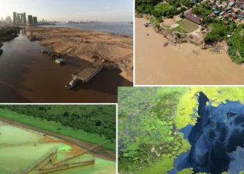 L'exploitation minière du sable menace l'avenir d'un écosystème essentiel en Asie du Sud-Est