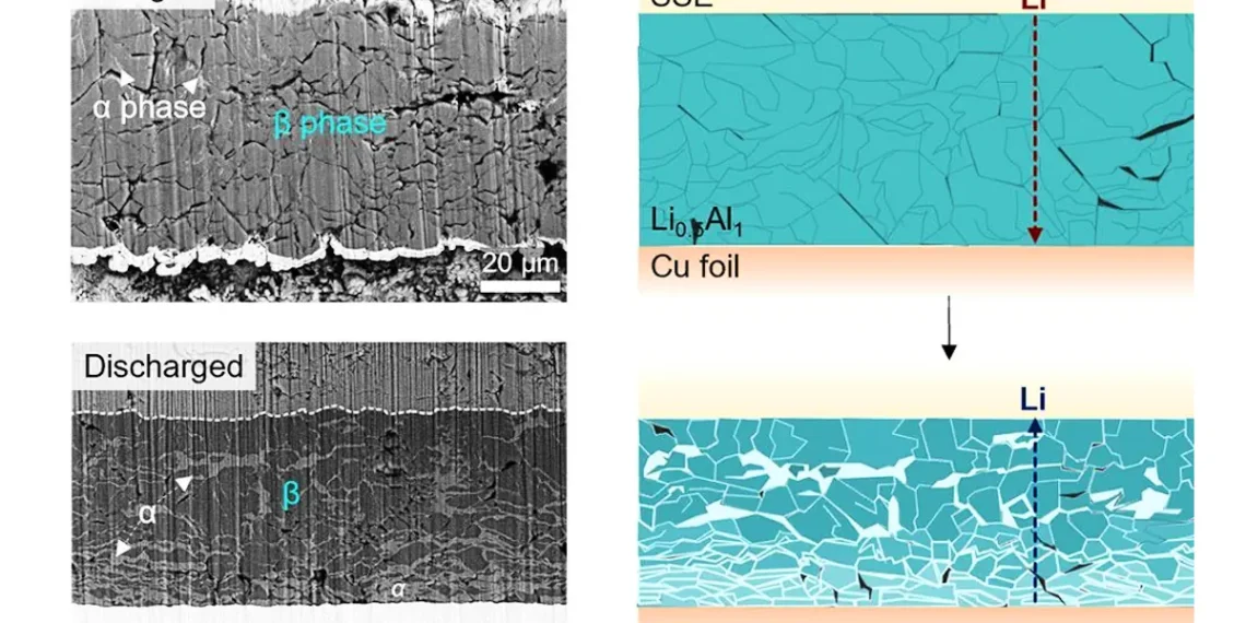 Une nouvelle conception d'alliage pourrait alimenter des batteries à semi-conducteurs qui se chargent plus rapidement et durent plus longtemps