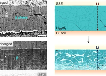 Une nouvelle conception d'alliage pourrait alimenter des batteries à semi-conducteurs qui se chargent plus rapidement et durent plus longtemps