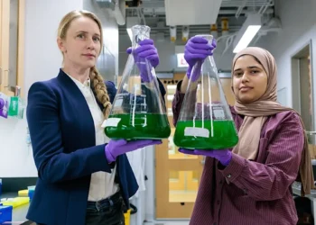 Comment les cyanobactéries déploient leur "écran solaire" pour s'adapter au climat