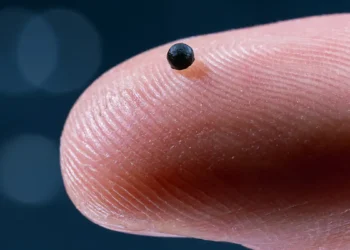 Un microrobot guidé par magnétisme livre des médicaments au cœur des vaisseaux cérébraux