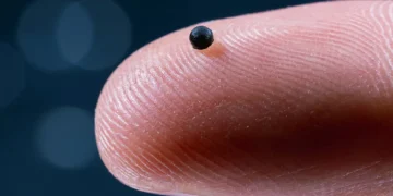 Un microrobot guidé par magnétisme livre des médicaments au cœur des vaisseaux cérébraux