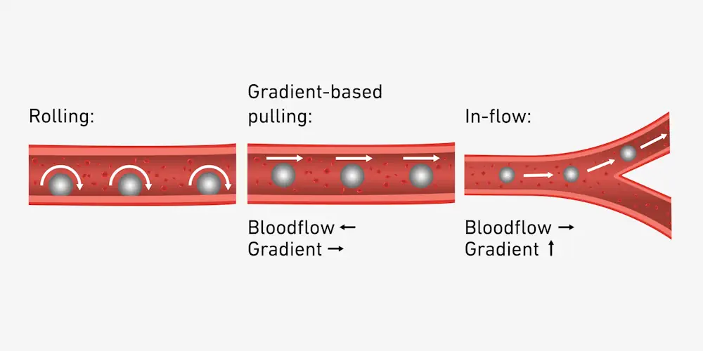 Représentation graphique des différentes options de navigation. (Graphique : ETH Zurich)