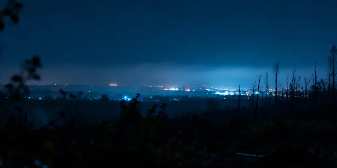 Connaissez vous la menace silencieuse qui perturbe la capacité de stockage du carbone ?