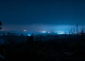 Connaissez vous la menace silencieuse qui perturbe la capacité de stockage du carbone ?