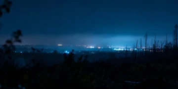 Connaissez vous la menace silencieuse qui perturbe la capacité de stockage du carbone ?