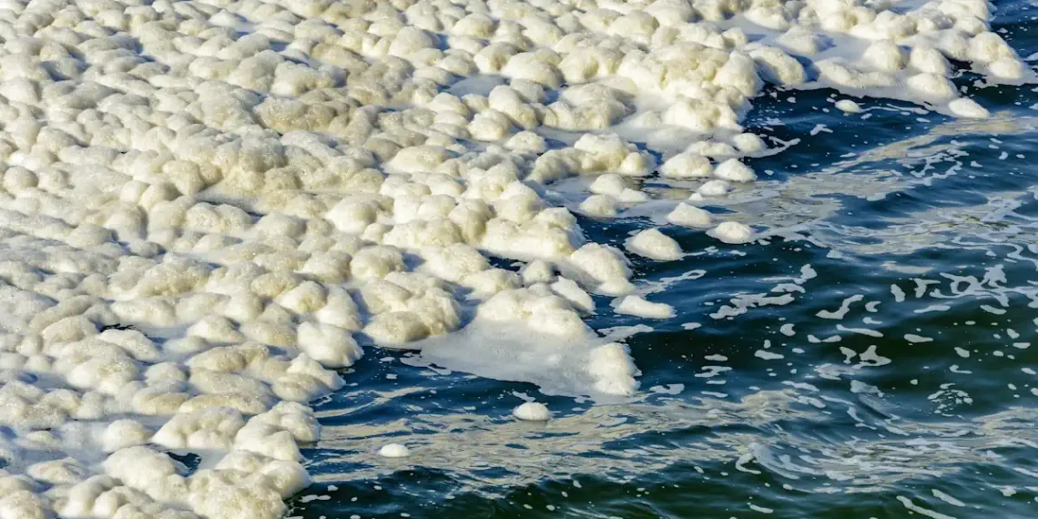 La chaleur à basse température provenant de sources renouvelables pourrait être utilisée pour dessaler l'eau