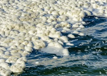 La chaleur à basse température provenant de sources renouvelables pourrait être utilisée pour dessaler l'eau