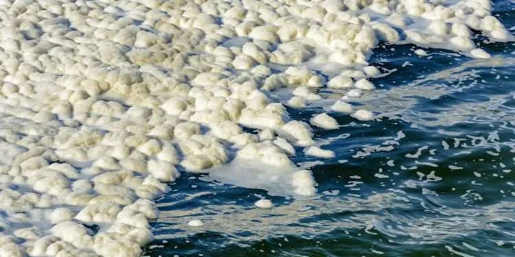 La chaleur à basse température provenant de sources renouvelables pourrait être utilisée pour dessaler l'eau