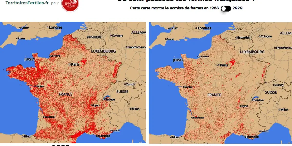 La France perd 40 000 petites fermes en trois ans : Terre de Liens alerte les maires