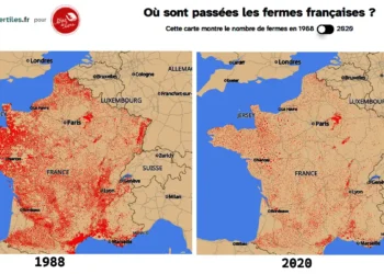 La France perd 40 000 petites fermes en trois ans : Terre de Liens alerte les maires