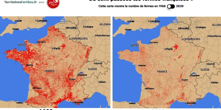 La France perd 40 000 petites fermes en trois ans : Terre de Liens alerte les maires