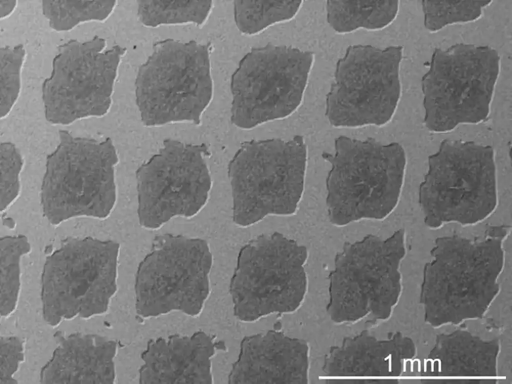 Image microscopique du nouveau composite à matrice métallique, qui imite la structure du béton à très petite échelle (photo de Chenwei Shao)