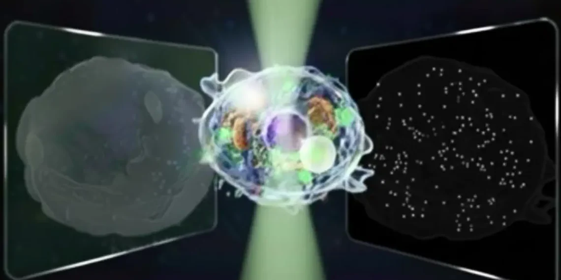 Le « Grand Microscope Unifié » peut voir à la fois les structures microscopiques et nanoscopiques